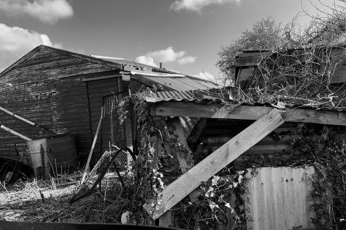 2C86D6D1-E308-459B-81F0-9A0F74945703_1_105_c