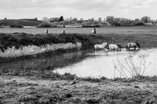 F81AA018-34A9-4EA1-BCA8-5F0E6896B263_1_105_c