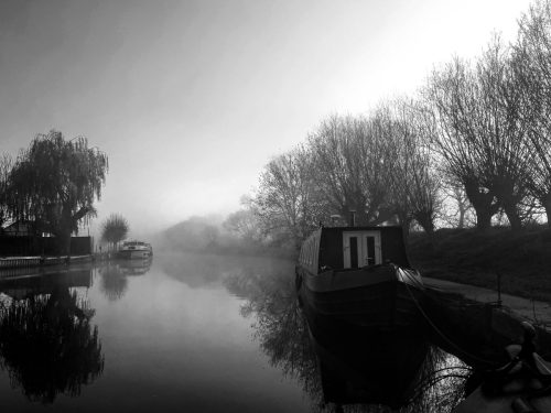 Argentum Camera. AA Filter