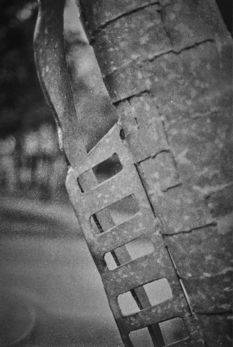 20250516-filmscan-11-1