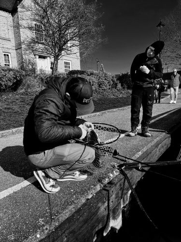 Argentum Camera. AA Filter