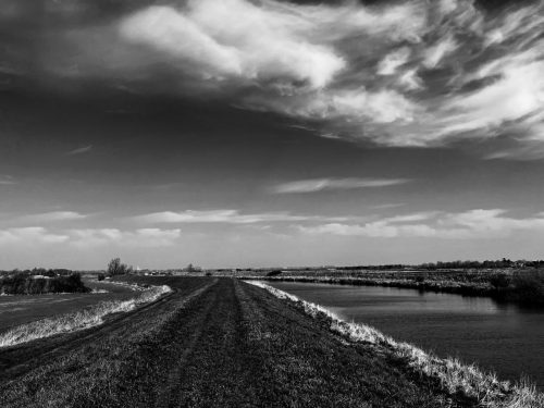 Argentum Camera. AA Filter