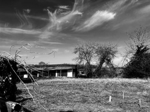 Argentum Camera. AA Filter