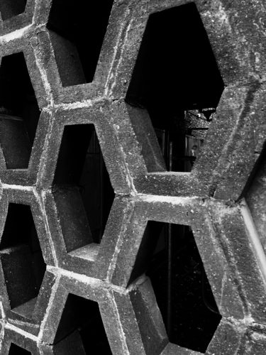 Argentum Camera. AA Filter