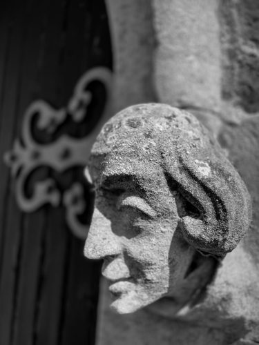 david's miscellaneous shots