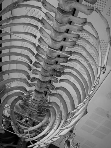 cambridge april 2025