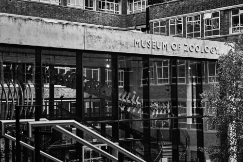 cambridge april 2025